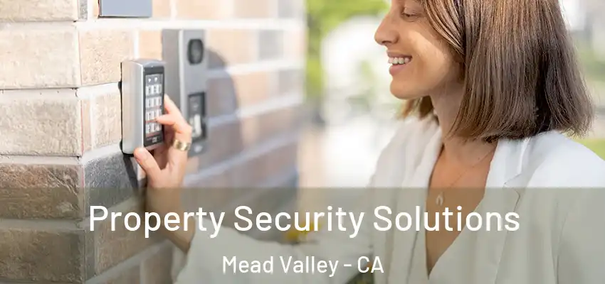  Property Security Solutions Mead Valley - CA